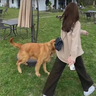 爸爸当家