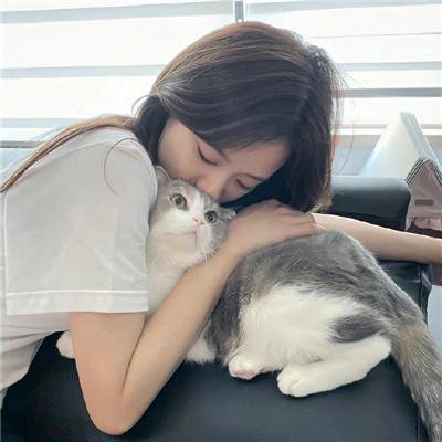 恋上女镖师